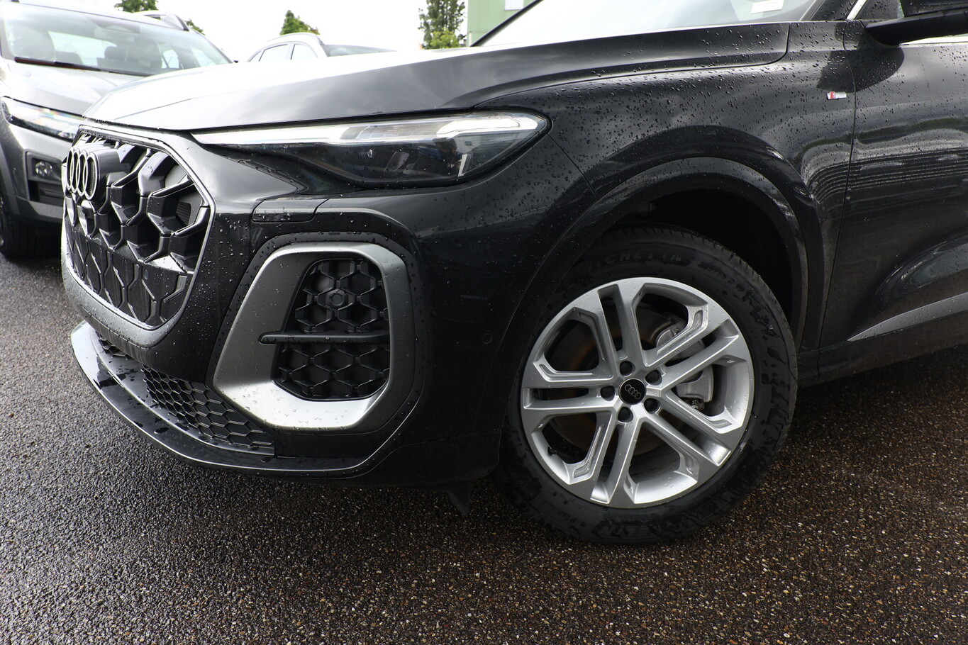 Audi Q5 TDI 204 S line Tech Pano PrivG VirCo+ eHK 19Z 142538457 4