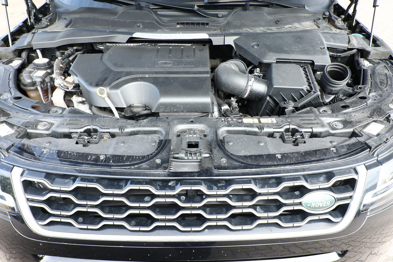 Land Rover Range Rover Evoque P300 AWD SE LED PanoD Nav 20Z 162781534 11