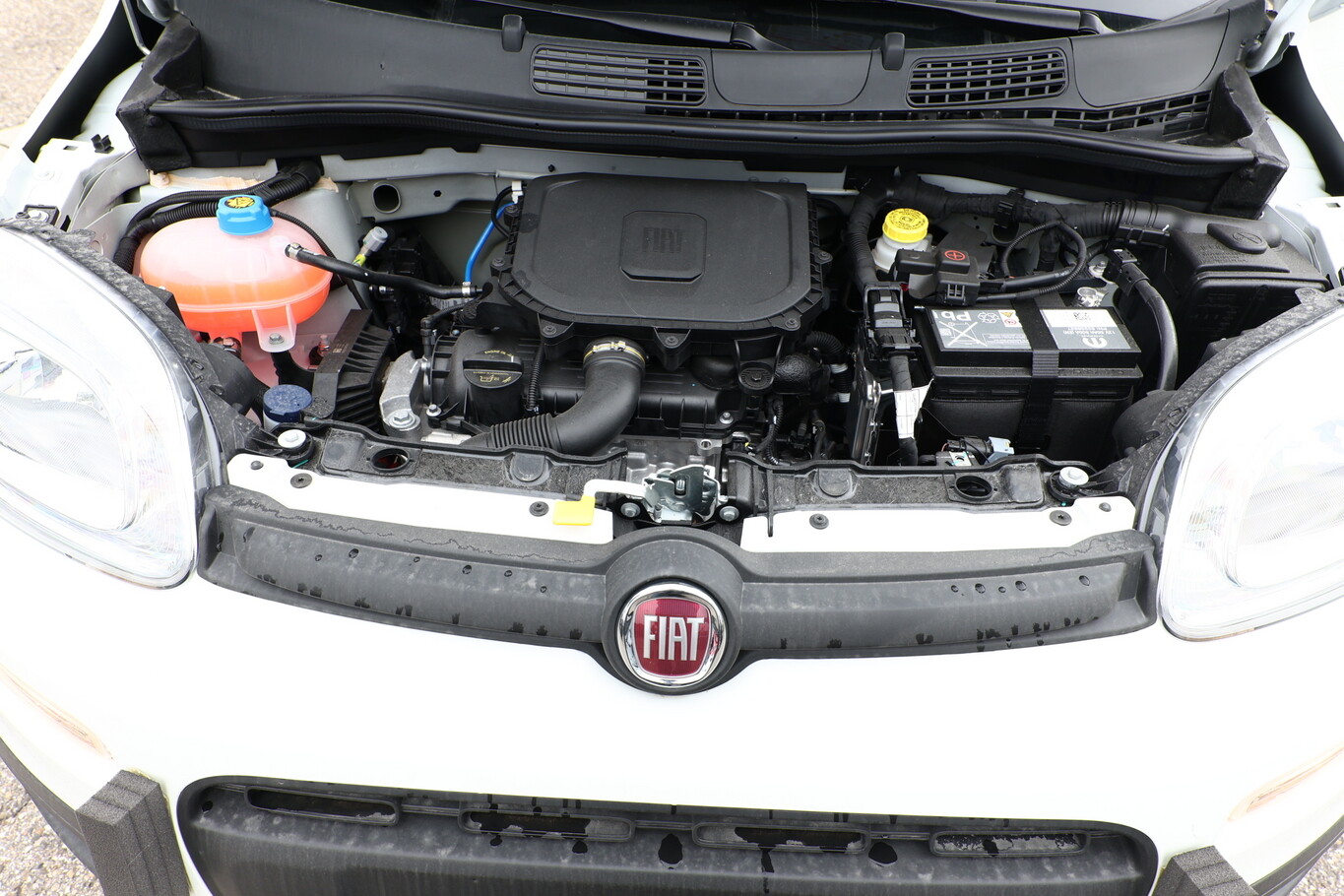 Fiat Panda MHEV 5