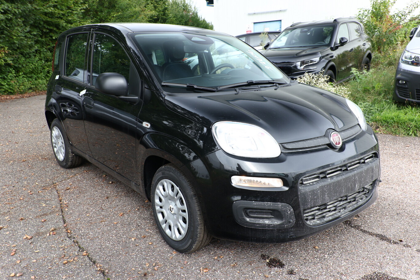 Fiat Panda MHEV 5