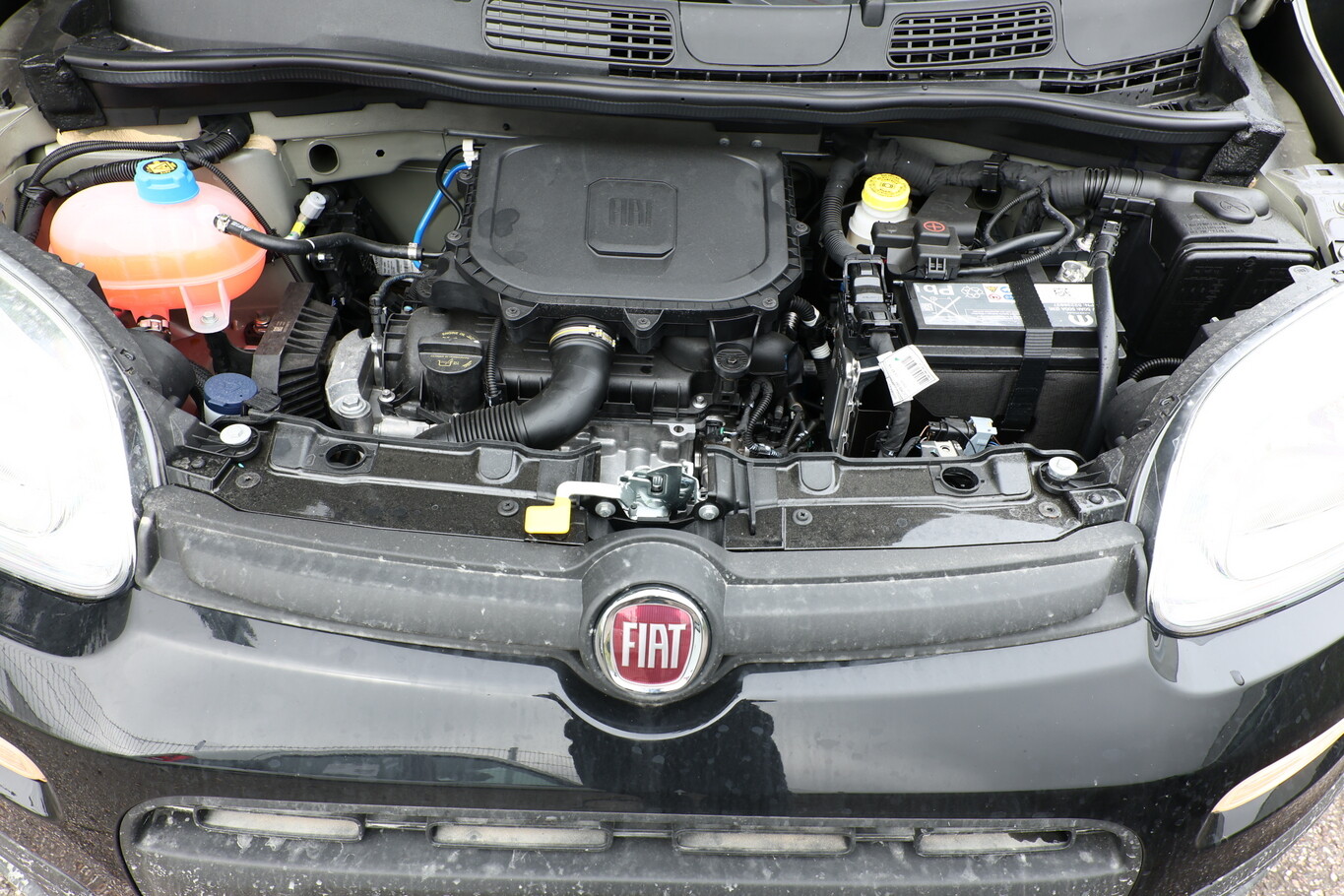 Fiat Panda MHEV 5