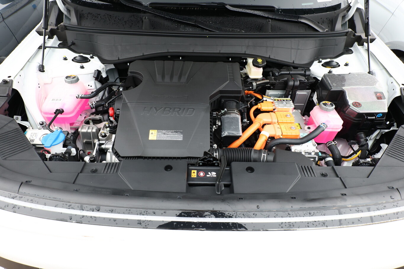 Hyundai Kona HEV N-Line X Bose eHK Alcantara Nav AssistP 172819042 9