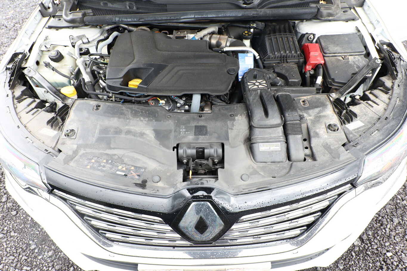 Renault Talisman Grandt. dCi 190 EDC Business Ed. Nav  173965548 11