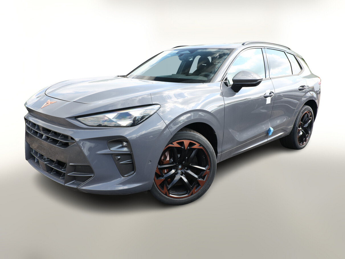 Cupra Terramar VZ Akebono Pano Matrix 360&deg; HuD Nav 20
