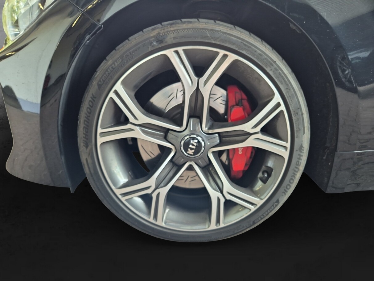 Kia Stinger 3.3 V6 T-GDI 366 4WD GT Leder SchiebeD 189323253 12