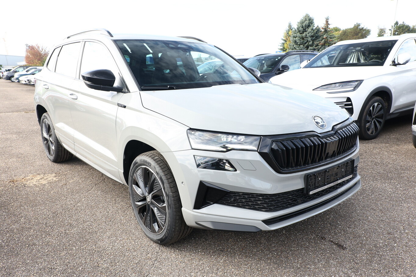 Skoda Karoq Sportl Matrix Nav 360 Canton ACC SideA SHZ 189811178 1