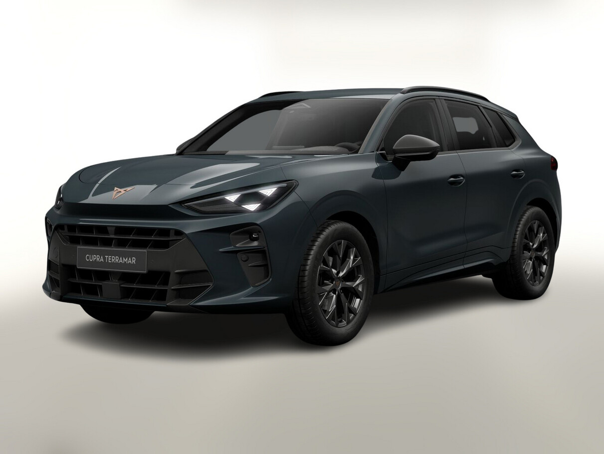 Cupra Terramar DSG EdgeP SHZ eHk Kam ACC 18