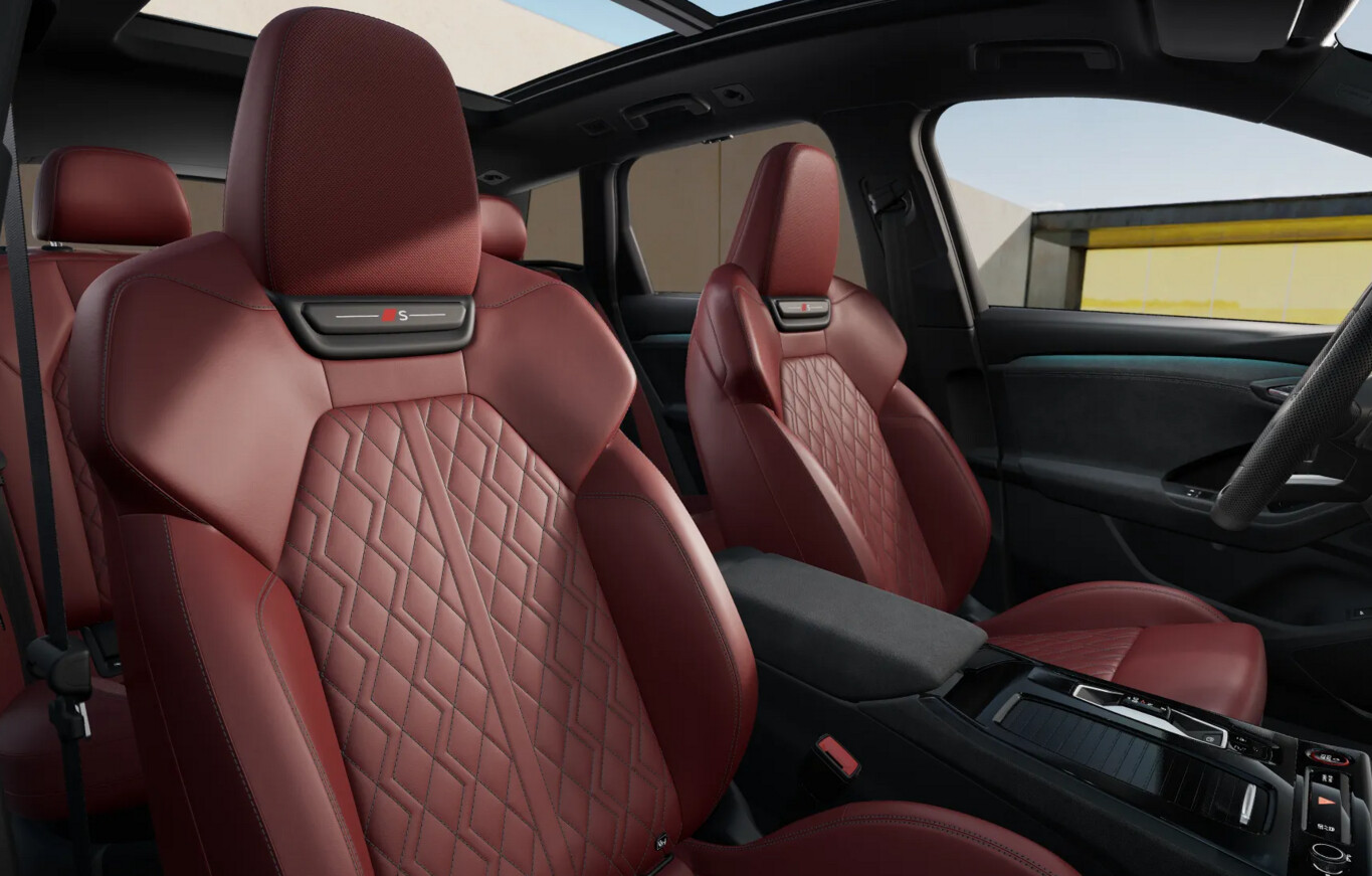 Audi SQ6 e-tron Tech+ Matrix GPS Cam360 ACC 20