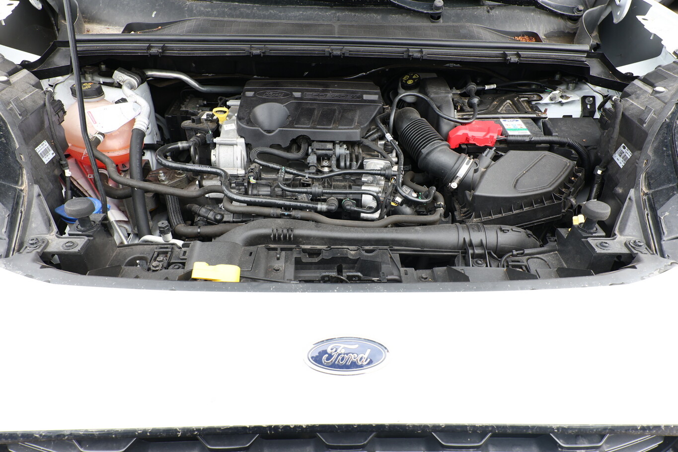 Ford Puma 1.0 EcoBoost 125 ST-Linie LED Nav ACC 183570547 9